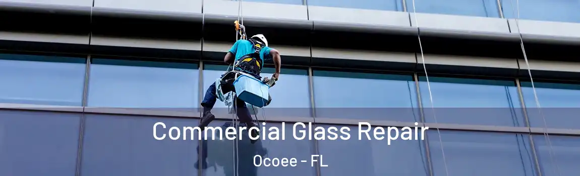  Commercial Glass Repair Ocoee - FL