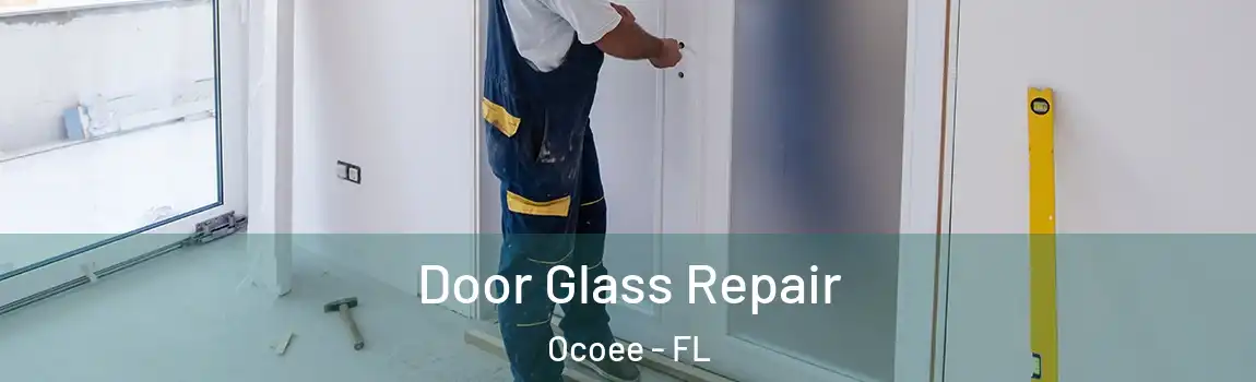 Door Glass Repair Ocoee - FL