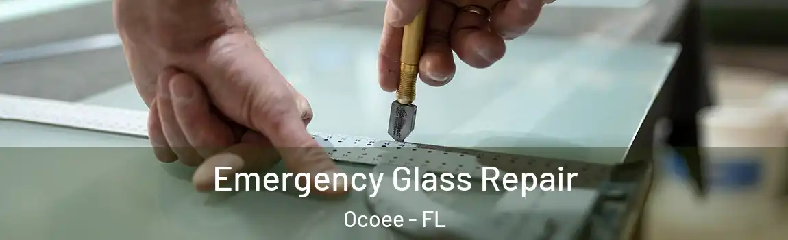 Emergency Glass Repair Ocoee - FL