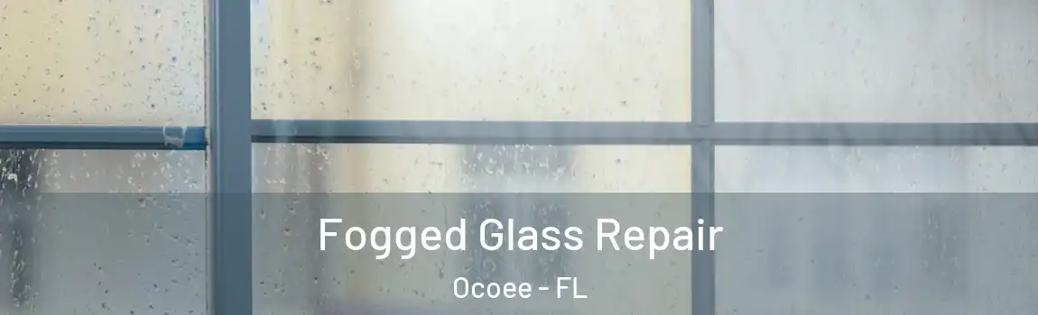  Fogged Glass Repair Ocoee - FL