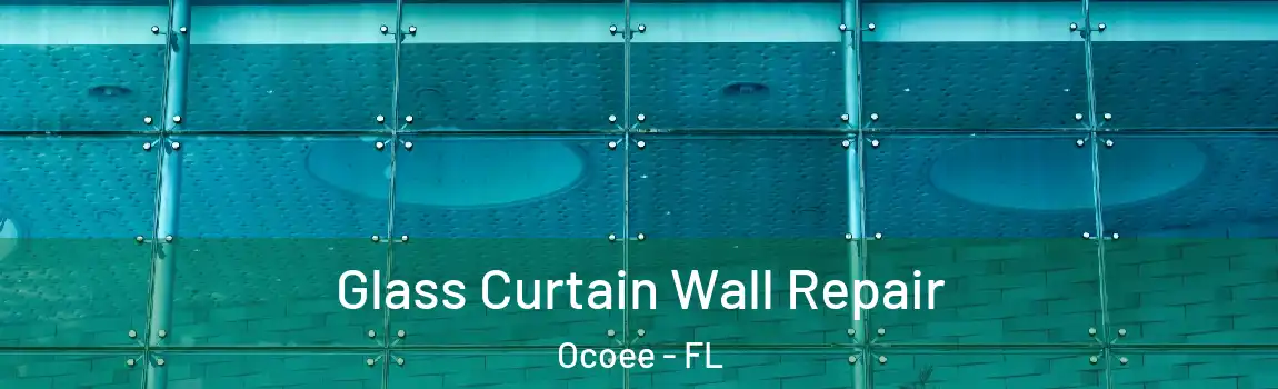  Glass Curtain Wall Repair Ocoee - FL