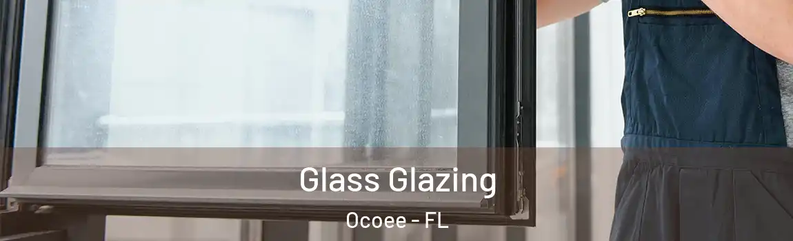  Glass Glazing Ocoee - FL