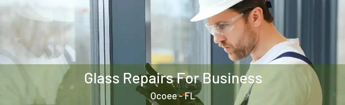 Glass Repairs For Business Ocoee - FL
