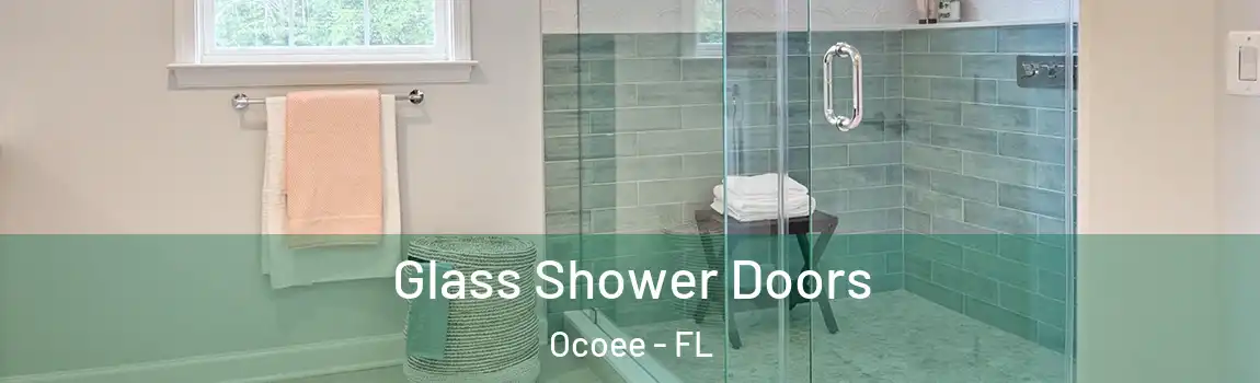 Glass Shower Doors Ocoee - FL