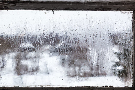 Defogging Double Pane Windows in Ocoee, FL