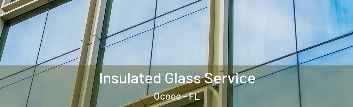  Insulated Glass Service Ocoee - FL