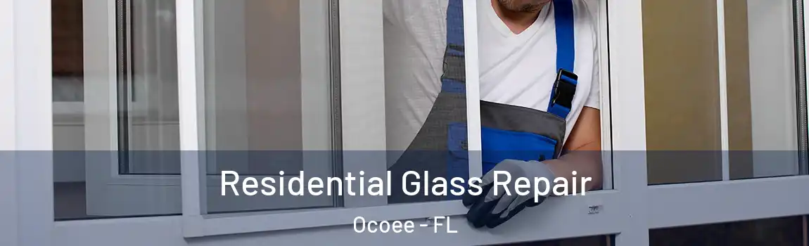  Residential Glass Repair Ocoee - FL