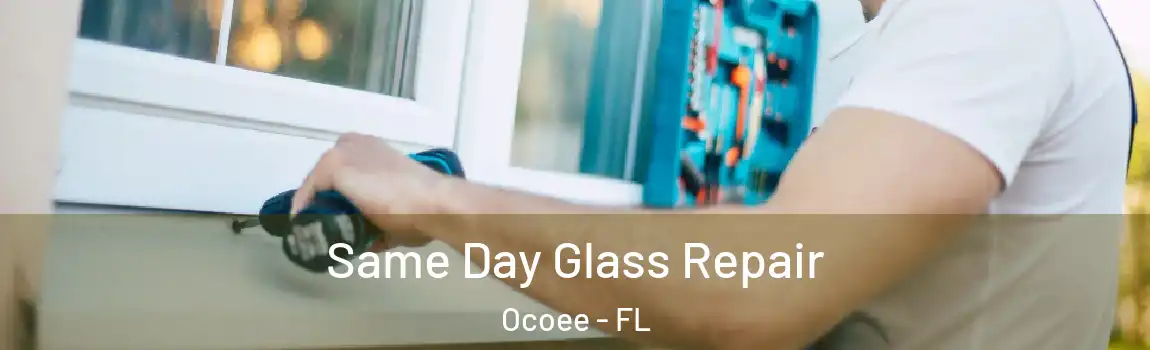  Same Day Glass Repair Ocoee - FL