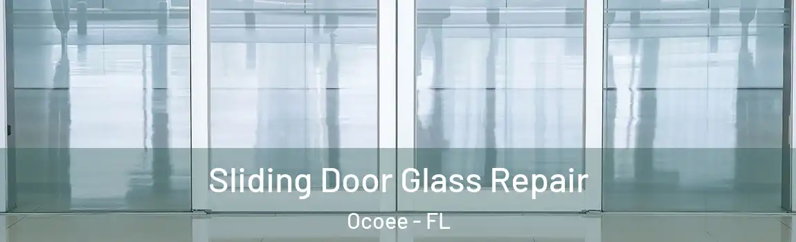  Sliding Door Glass Repair Ocoee - FL