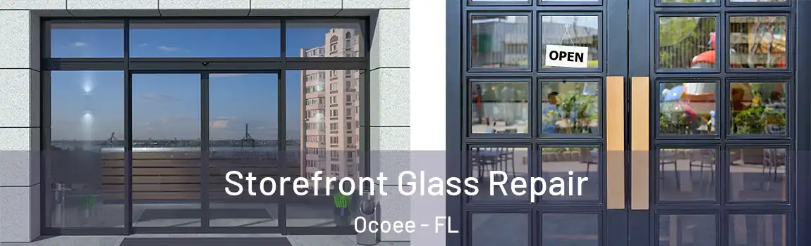 Storefront Glass Repair Ocoee - FL