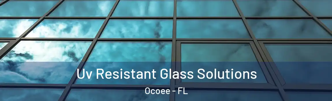  Uv Resistant Glass Solutions Ocoee - FL