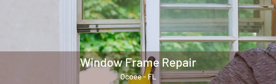 Window Frame Repair Ocoee - FL
