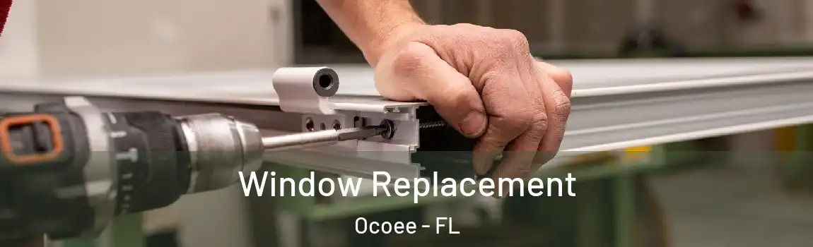  Window Replacement Ocoee - FL