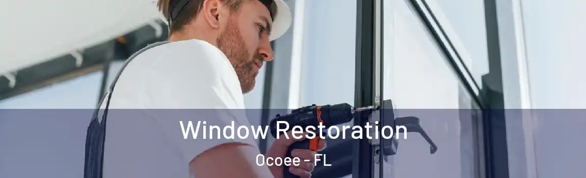  Window Restoration Ocoee - FL